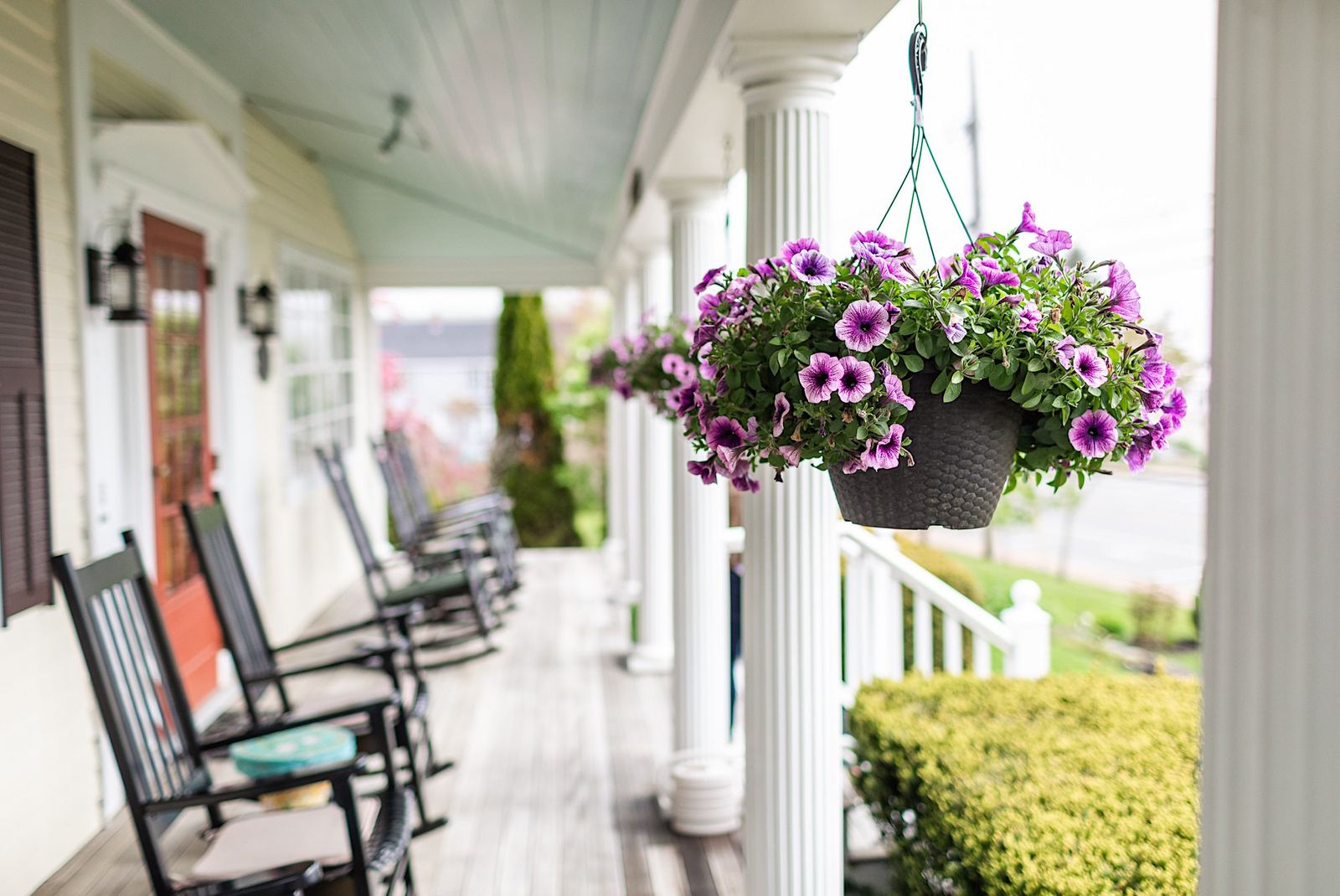 The front porch lined with rocking chairs and hanging baskets of purple petunias
